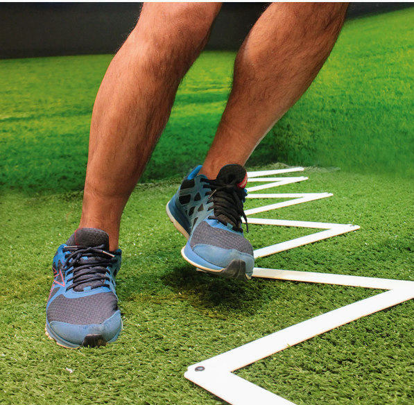 ZIGZAG COORDINACIÓN